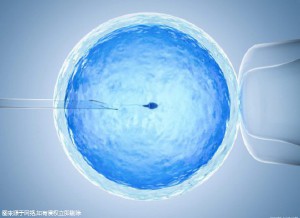 首席专家